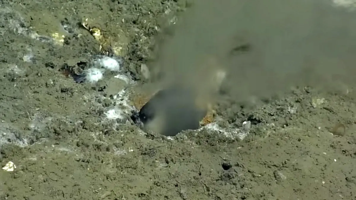 Fault Lines leak at bottom of Pacific Ocean, massive earthquake to come on earth! scientists alerted