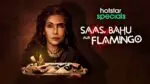 Saas Bahu Aur Flamingo