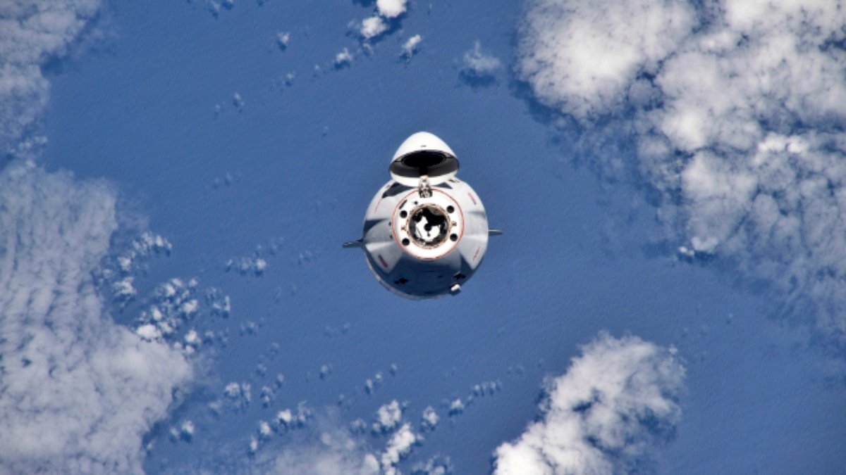 Tomatoes grown in SS lab are leaving for Earth today, can watch live streaming