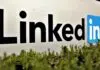 LinkedIn