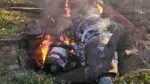 Ukraine forces claimed to shot down 29 cruise missiles