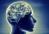 brain activity
