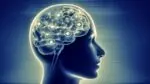 brain activity