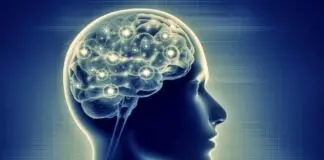 brain activity