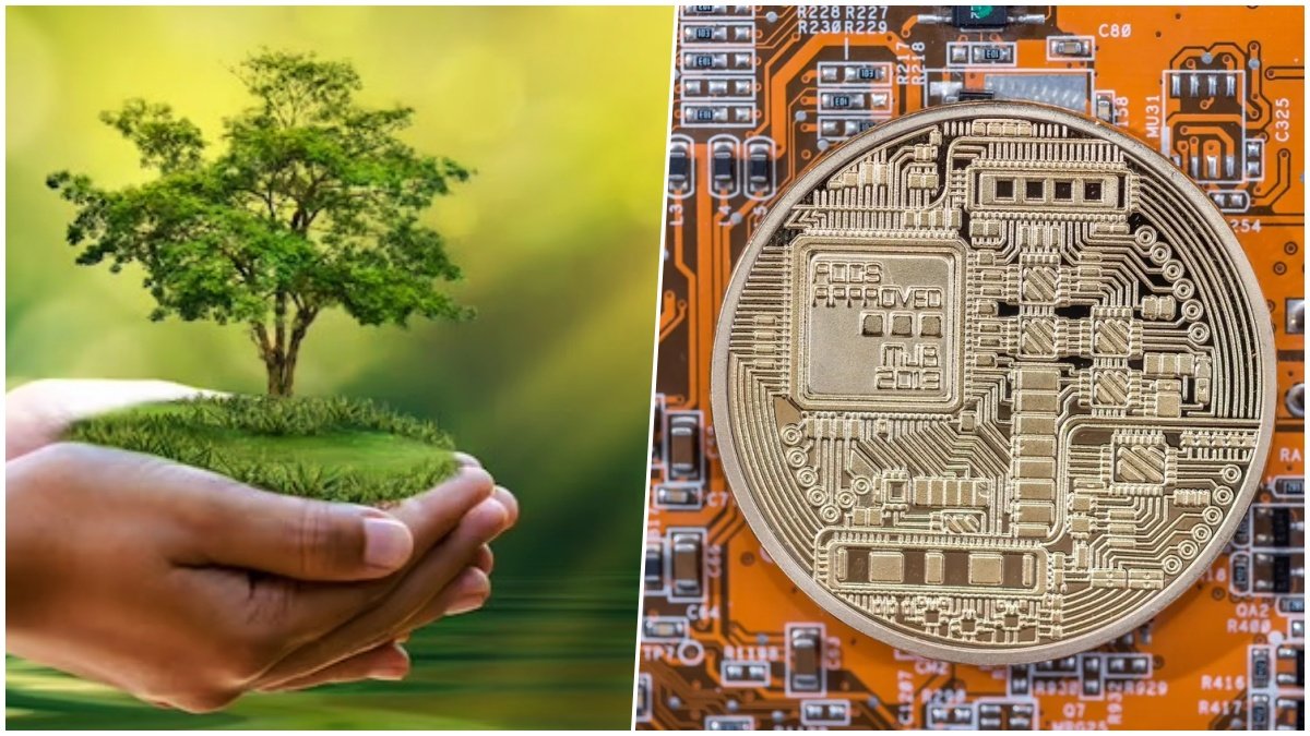 Digital Currency and Its Environmental Impact: Evaluating the Ecological Footprint