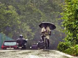 Monsoon did not reach Kerala on Sunday as predicted, may be delayed by three to four days: IMD monsoon