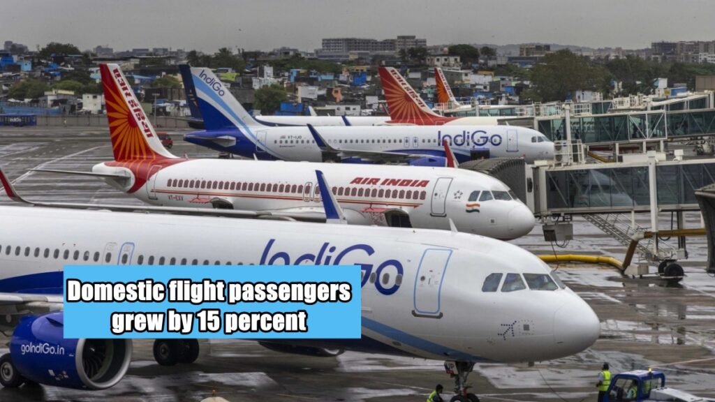Domestic flight passengers