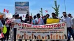 Indian students facing the threat of deportation