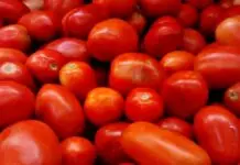 Now Central Government will sell tomatoes only for ₹ 70 Tomato prises