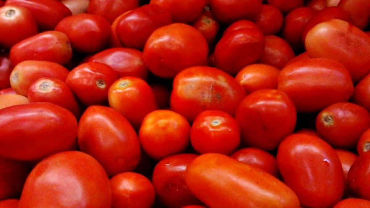 Tomato prises
