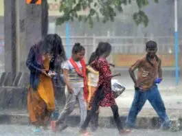 Monsoon knock’s in Madhya Pradesh today, rain alert in 25 districts rain alert in MP