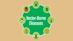 Vector-Borne Diseases