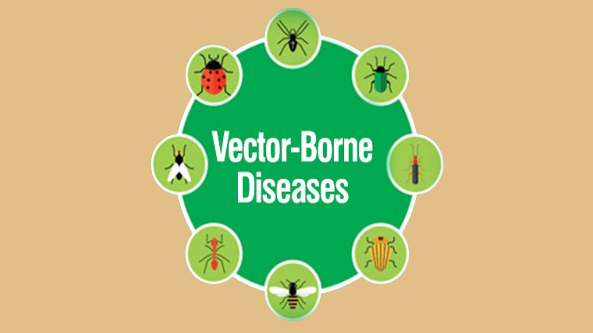 What is vector-borne disease, and why it is rising in the rainy season?