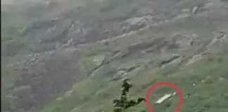 bus fall Saptashringi Ghat