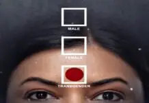 film Taali
