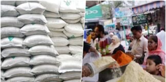 flour price in Pakistan