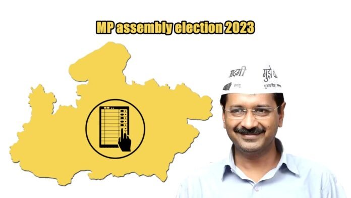 mp elections aam admi party