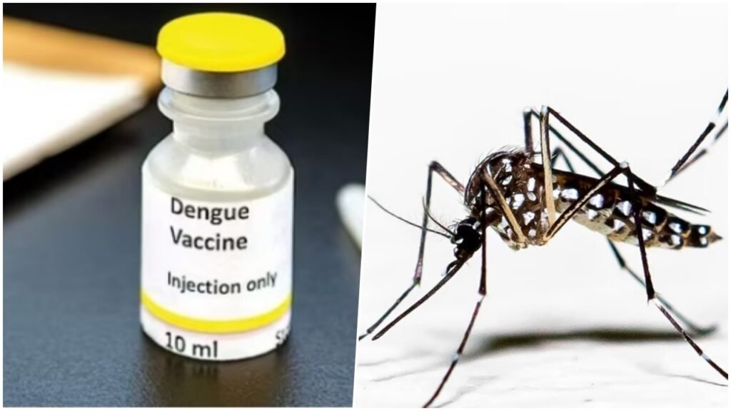 Dengue vaccine