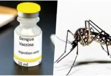 Dengue vaccine