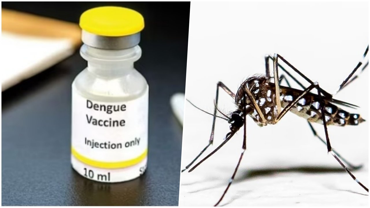 Dengue vaccine to be launched by Serum Institute of India soon