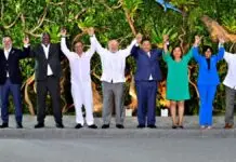 Eight countries gathered for the purpose of saving the Amazon forest