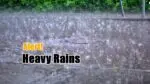 Warning of heavy rain continues in 7 states, so far 250 people have lost their lives Heavy rains