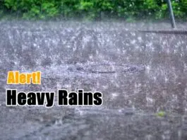 Heavy Rainfall Predicted Across Multiple States, Delhi on Yellow Alert Heavy rains