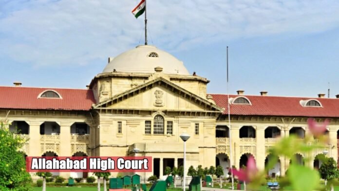 Allahabad High Court