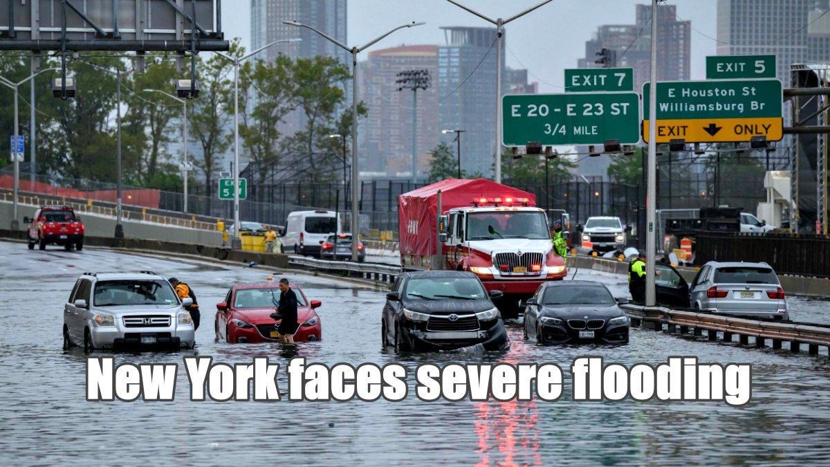 New York faces severe flooding | PalPal News Hub | Latest National, Technology, and Astrology News New York faces severe flooding