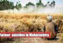 farmer suicide in maharashtra