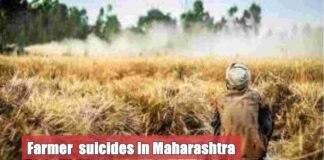 farmer suicide in maharashtra