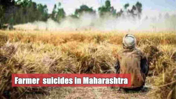 farmer suicide in maharashtra