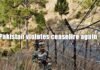 Pakistan violates ceasefire again
