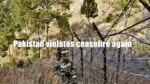 Pakistan violates ceasefire again