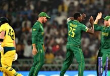 South Africa crush Australia by 134 runs in World Cup