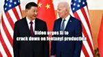 Biden urges Xi to crack down on fentanyl production as drug overdose deaths soar in US Biden and Xi