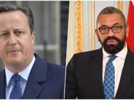 David Cameron-James Cleverly