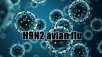 H9N2 avian flu