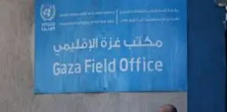 UN mourns over 100 aid workers killed in Gaza conflict UN mourns over 100 aid workers killed in Gaza