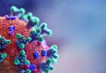 India reports 594 new Covid cases, 25 cases of JN.1 subvariant JN.1 variant scare