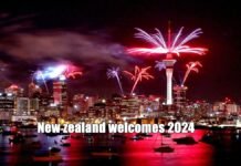 New zealand welcomes new year