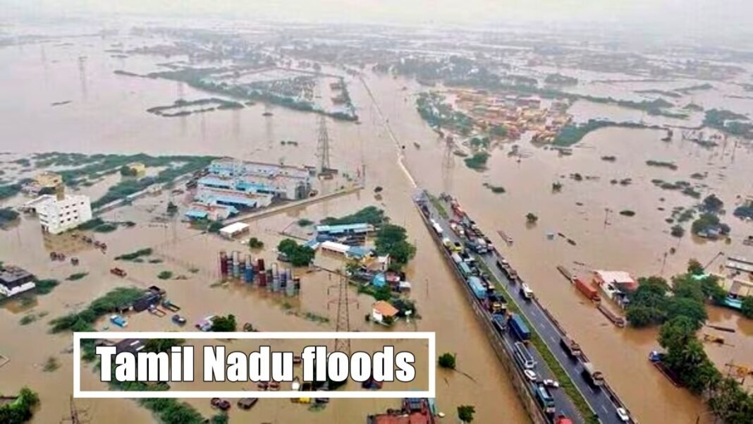 Tamil Nadu floods: Central team to assess damage, CM Stalin to visit ...