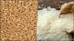 Wheat-Rice