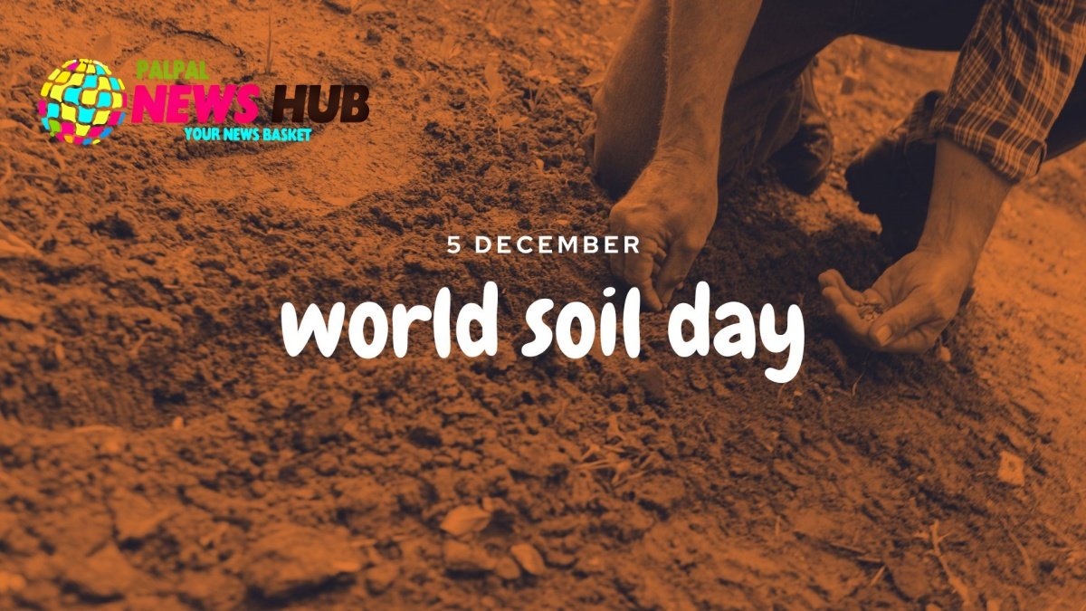 World Soil Day: A day to raise awareness about the importance and conservation of soil