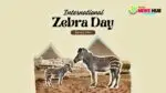 International Zebra Day