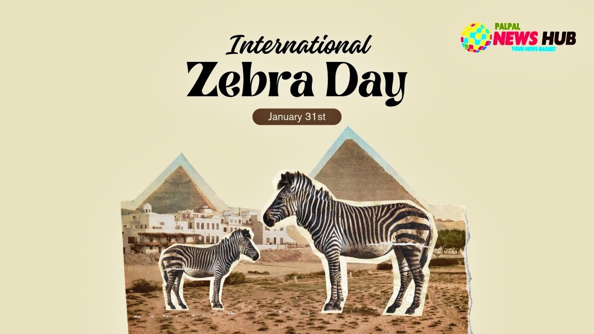 Celebrating the stripes: How International Zebra Day raises awareness for these endangered animals