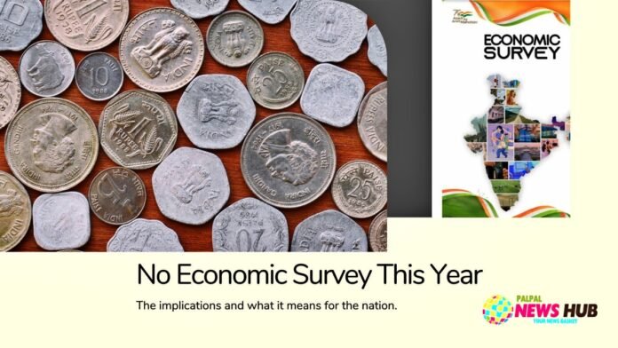 No Economic Survey this year