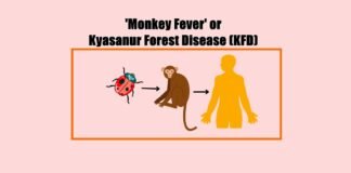 Kyasanur Forest Disease