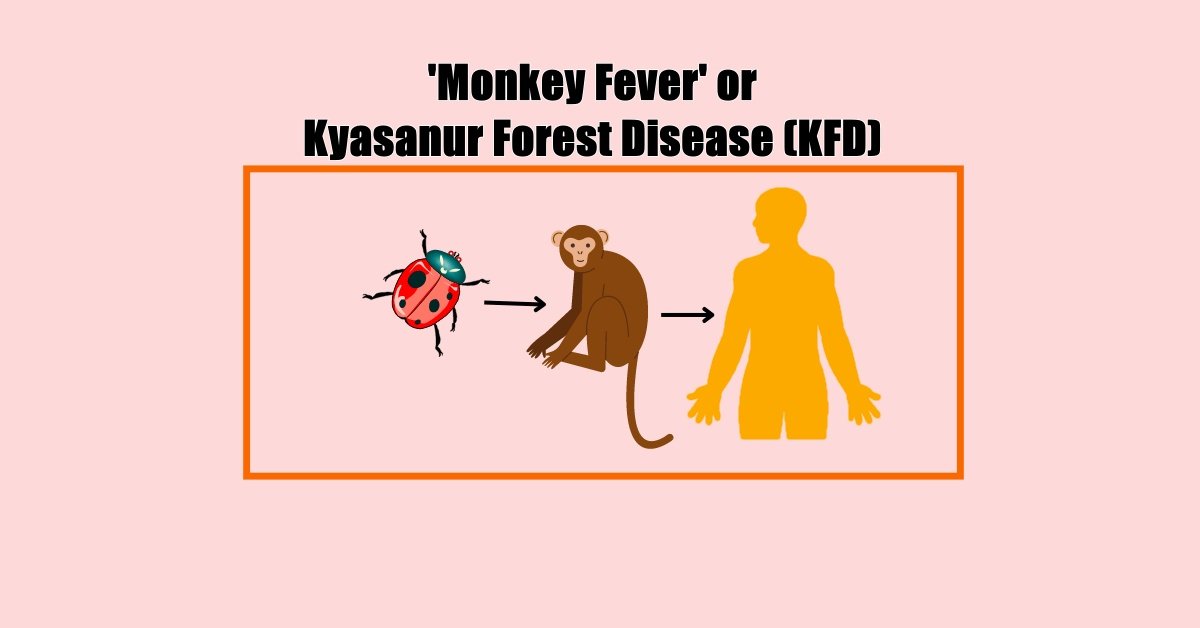 Karnataka on alert as ‘Monkey Fever’ claims two lives and infects 49 others