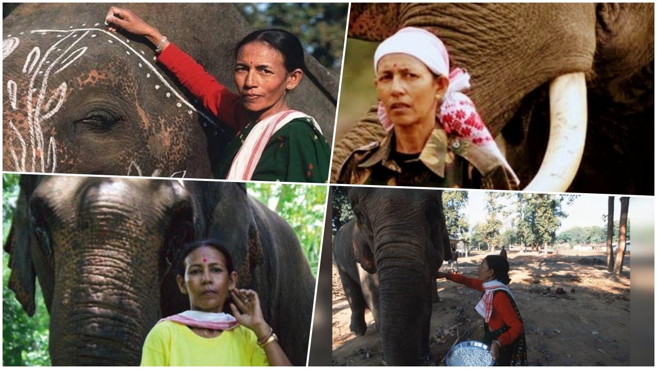 Parbati Barua: The Queen of Elephants and India’s First Female Mahout